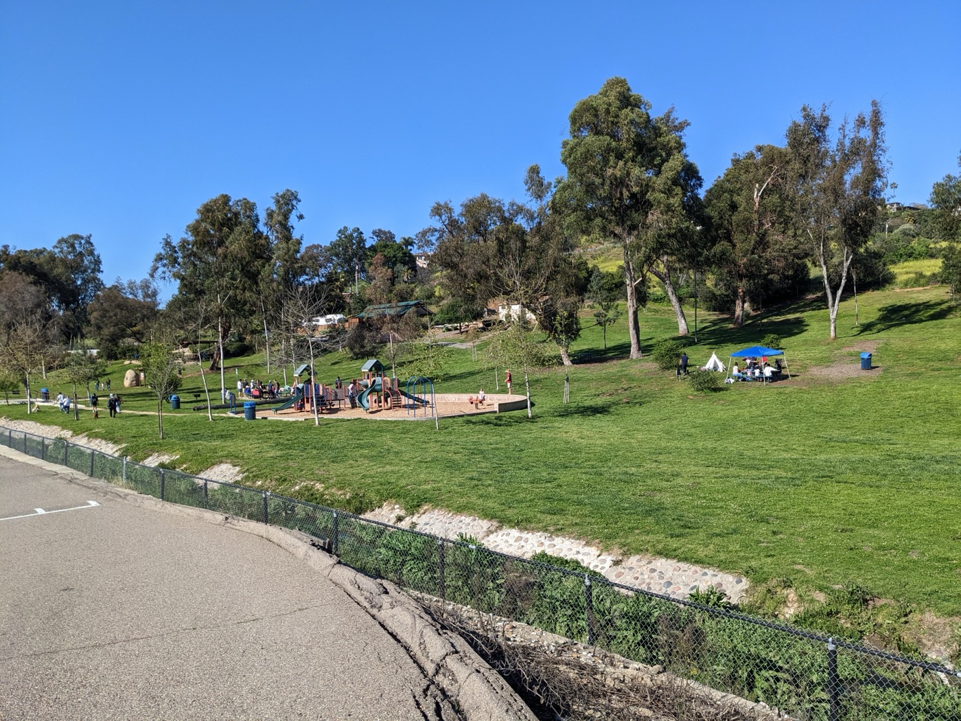 A green hillside and playground at Eucalyptus Park